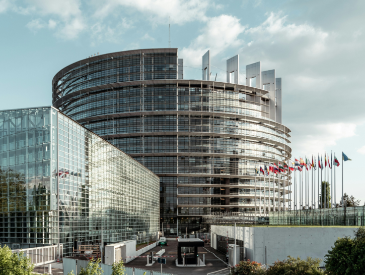 Guida alle elezioni europee 2024