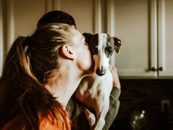 Come conservare il cibo secco per cani