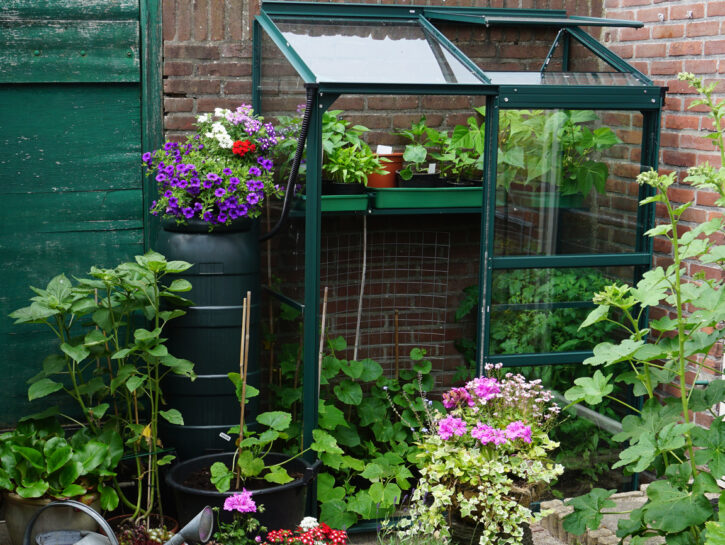 Come costruire una mini serra da balcone fai da te