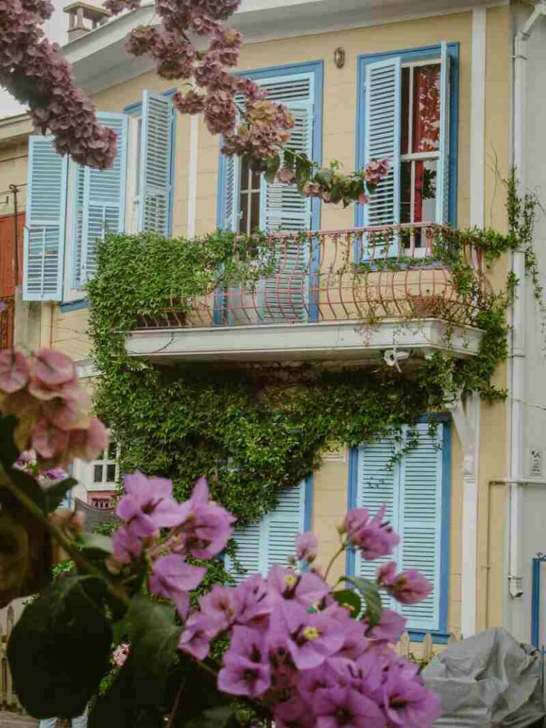 balcone con piante arrampicanti sospese e fiori rosa in primo piano 