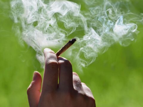 Chi fuma cannabis è pigro? I risultati di uno studio