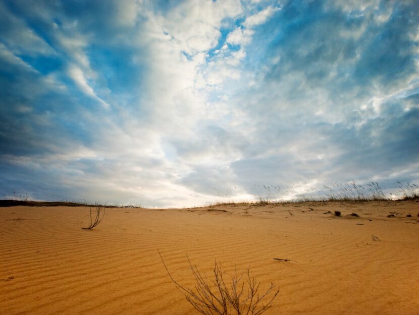 paesaggio desertico