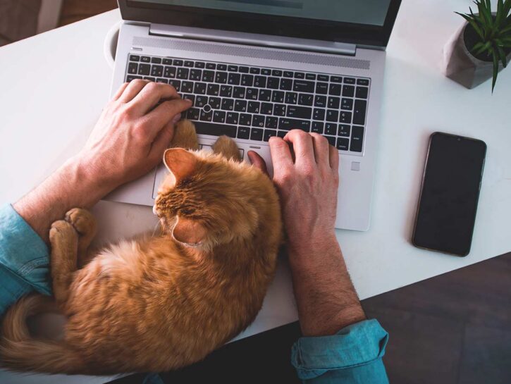 Smart Working, il futuro è ibrido
