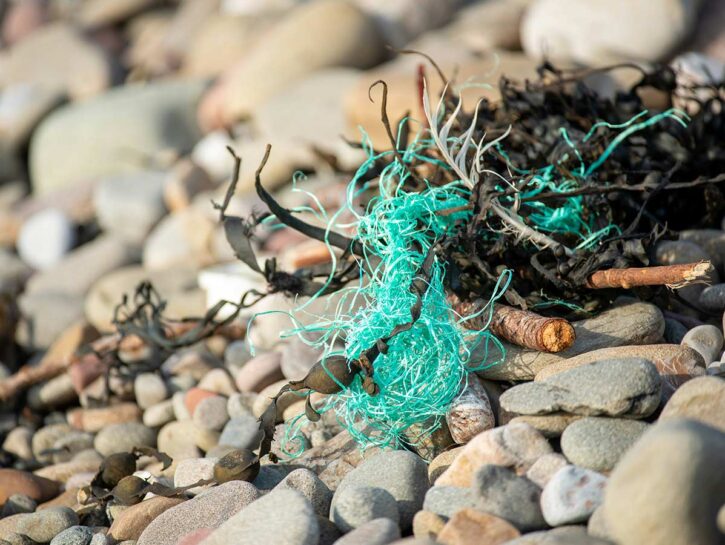 Microplastiche, la mappa dei Paesi con la maggiore esposizione