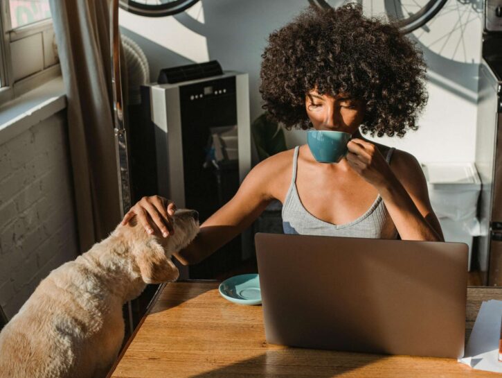 Come organizzare la casa se hai un animale domestico