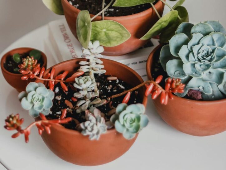 Come decorare un vaso di plastica