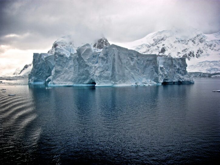 Ecosistemi dell'Antartide sempre più a rischio: ecco perché