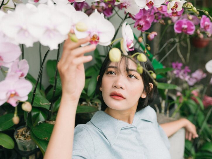 Come curare le orchidee