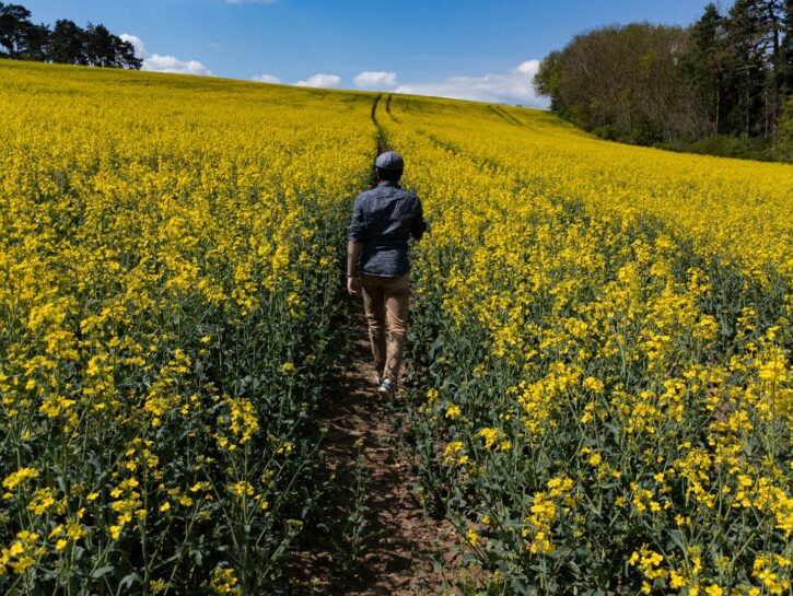 Una passeggiata in campagna? Ferma il tempo: lo studio