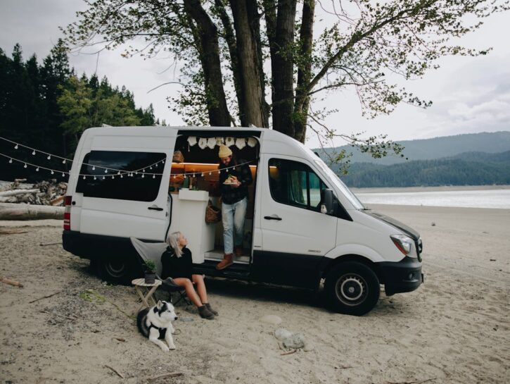 Viaggi con Fido: tutto quello che bisogna sapere
