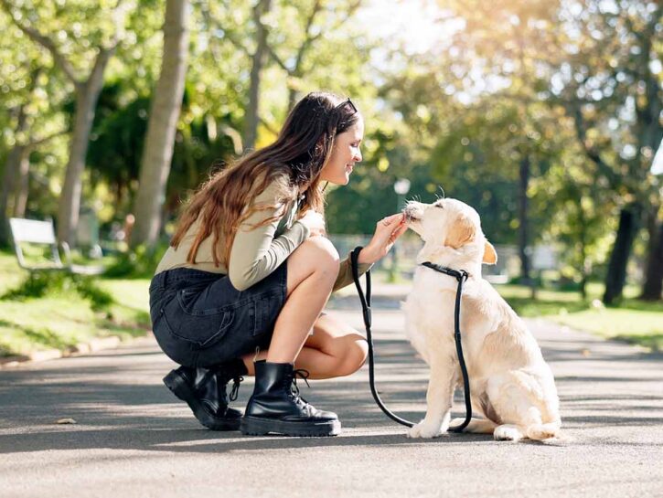 Come realizzare un doggie dooley