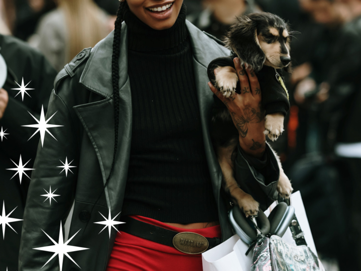 Regali di Natale per chi ama gli animali: 15 idee
