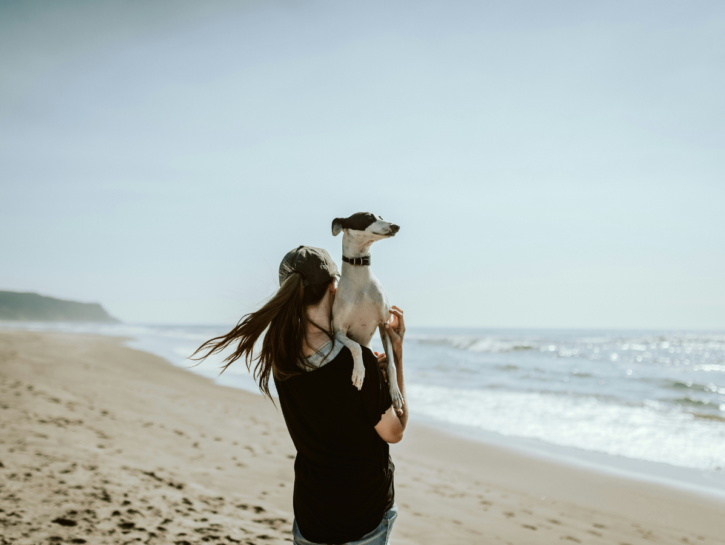 Single con un cane: i pet sono i nostri nuovi partner?