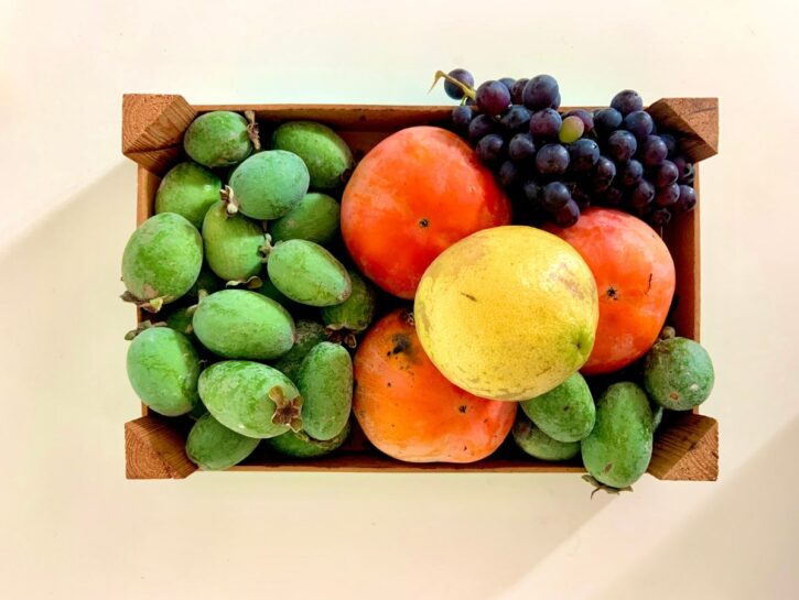 Feijoa: come coltivare questa bella sconosciuta