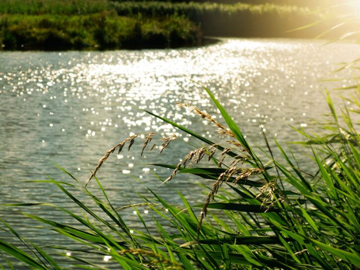 Clima, diminuiscono le risorse di acqua dolce nel mondo
