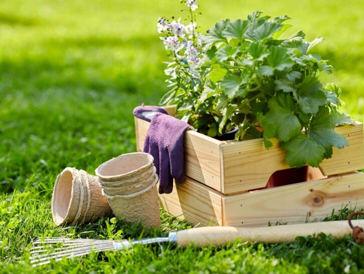 Come fare una scatola di legno per il giardino (per attrezzi o piante)