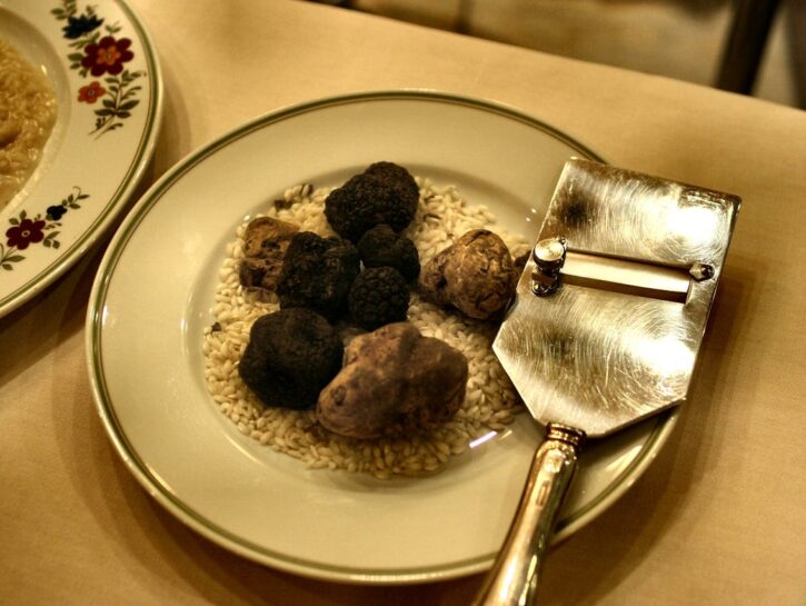 Tartufo: come conservarlo al meglio e mantenerne il profumo
