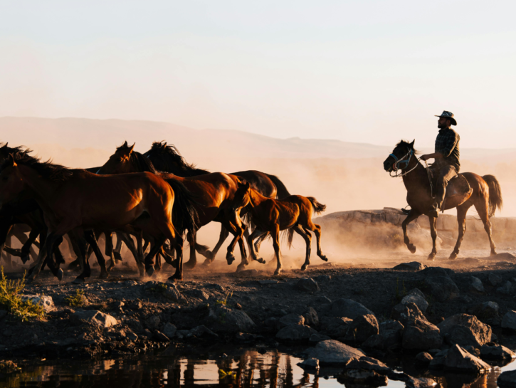Stati Uniti on the road: viaggio nelle terre dei cowboy