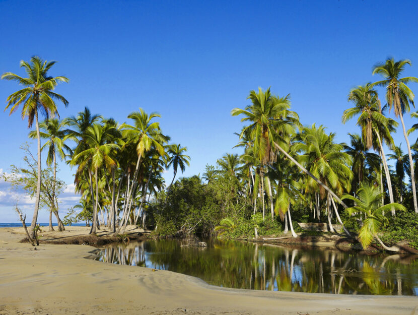 Spiaggia di Samana, Repubblica Dominicana