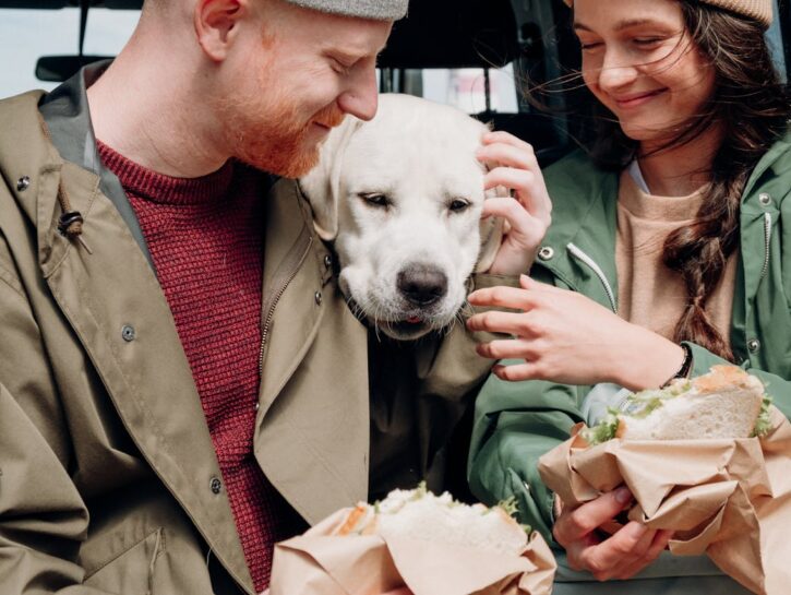 Obesità, umani e... labrador condividono lo stesso gene