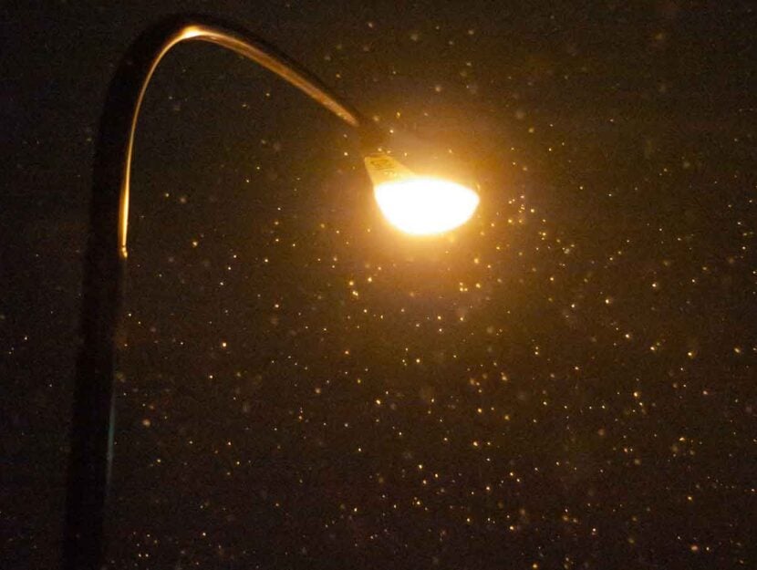 Lampione acceso in giornata di pioggia