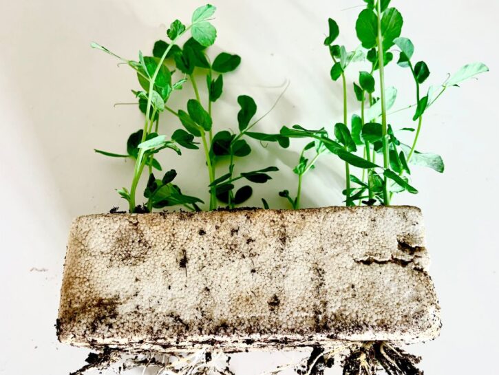 Rinvaso: il beauty-treat di primavera