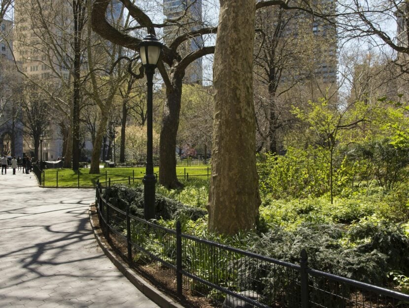 Viaggio a New York Central Park