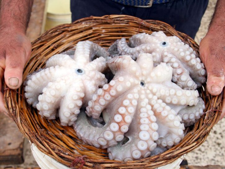 Polpo crudo pugliese