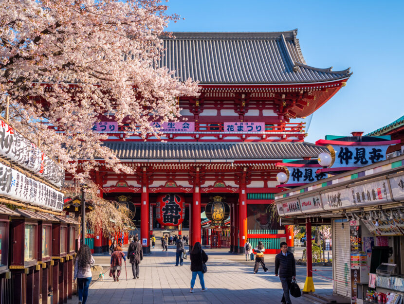 Alberi di ciliegi in fiore presso il tempio Senso-ji a Tokyo