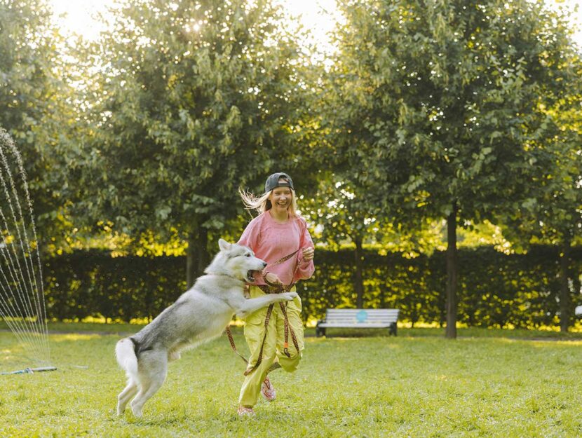 Le destinazioni dog-friendly