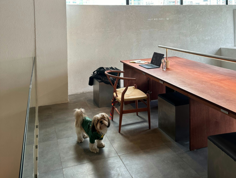 Cane in ufficio