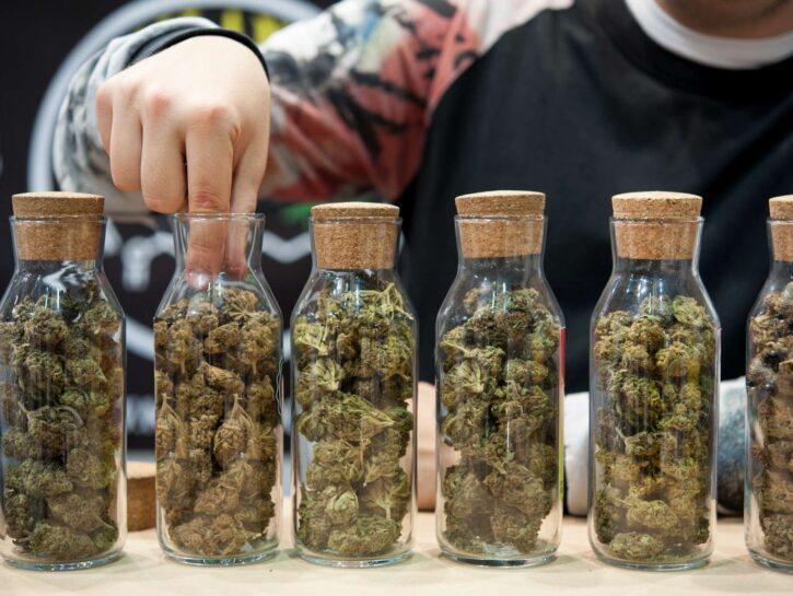 Addio Cannabis light: gli effetti del Dl Sicurezza