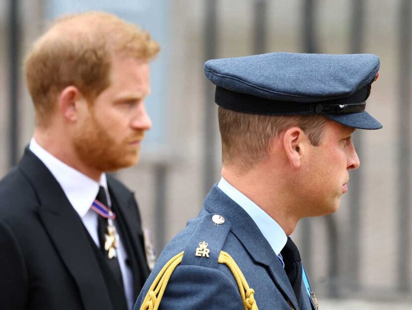 William ed Harry
