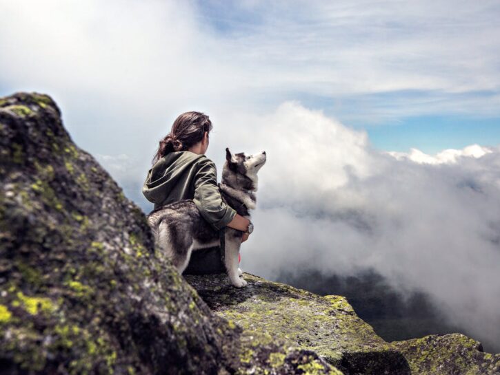 Sognare un cane: cosa vuol dire e qual è il significato