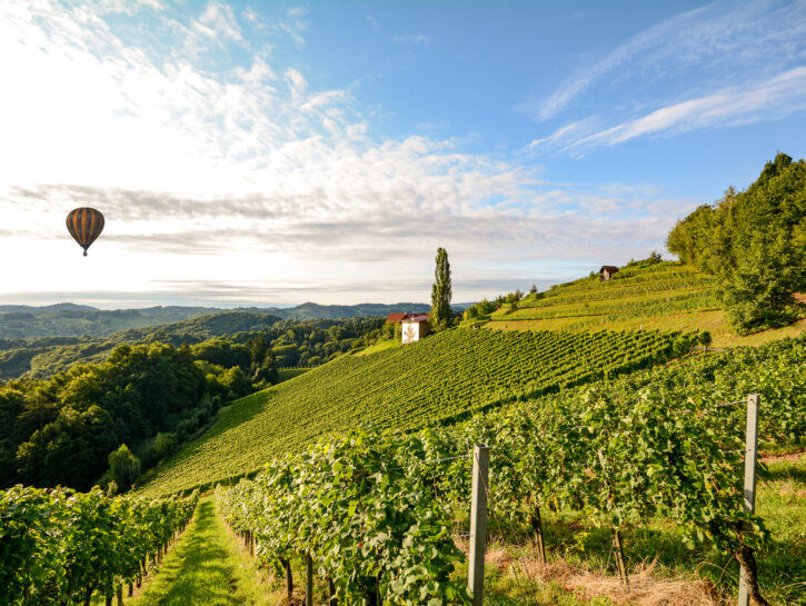 Viaggi e vino, le regioni top d'Europa: due sono in Italia