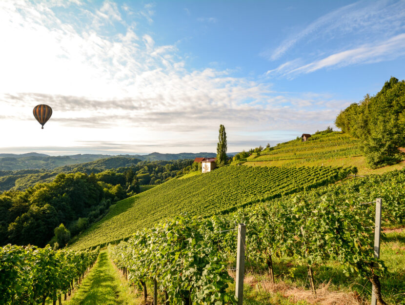 Viaggi e vino