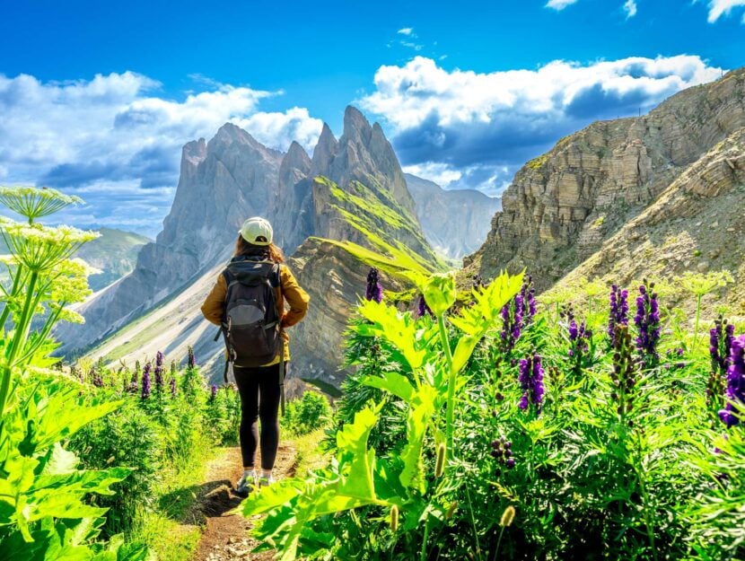Dolomiti