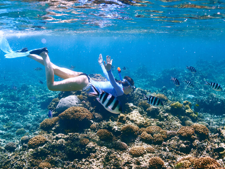 Seychelles: un paradiso per tutti