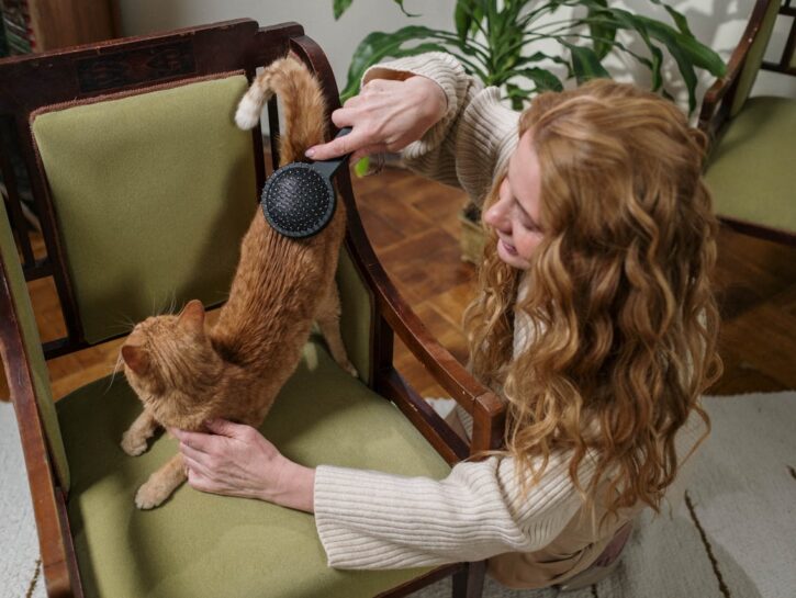 I segreti per ridare lucentezza al pelo del tuo gatto