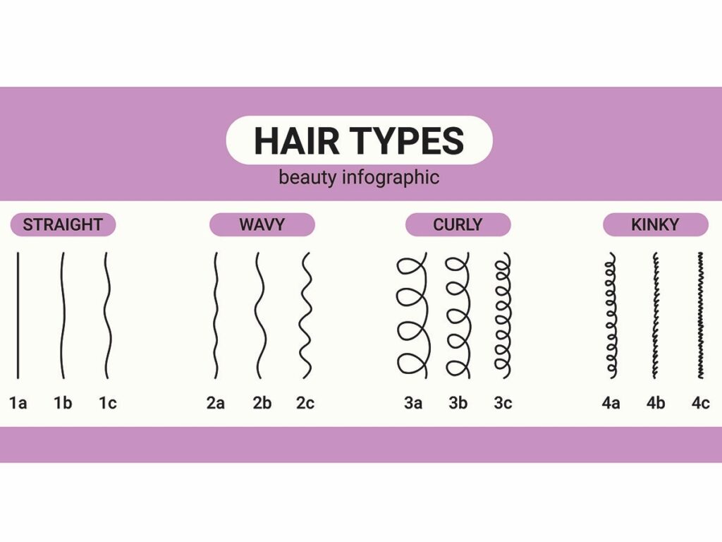 tipi di capelli infografica