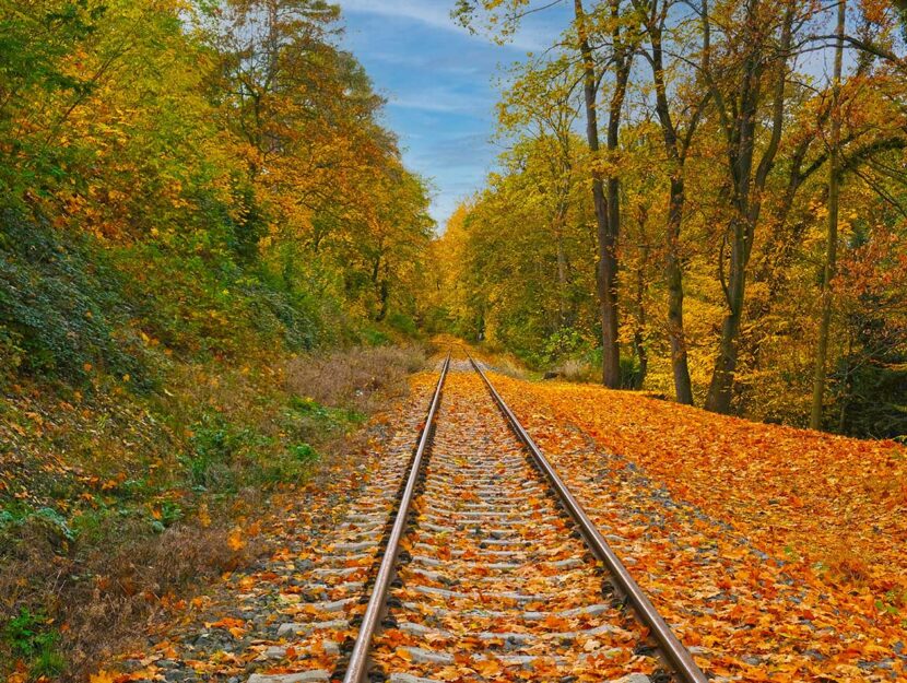 Tratta ferroviaria tra le foglie d'autunno