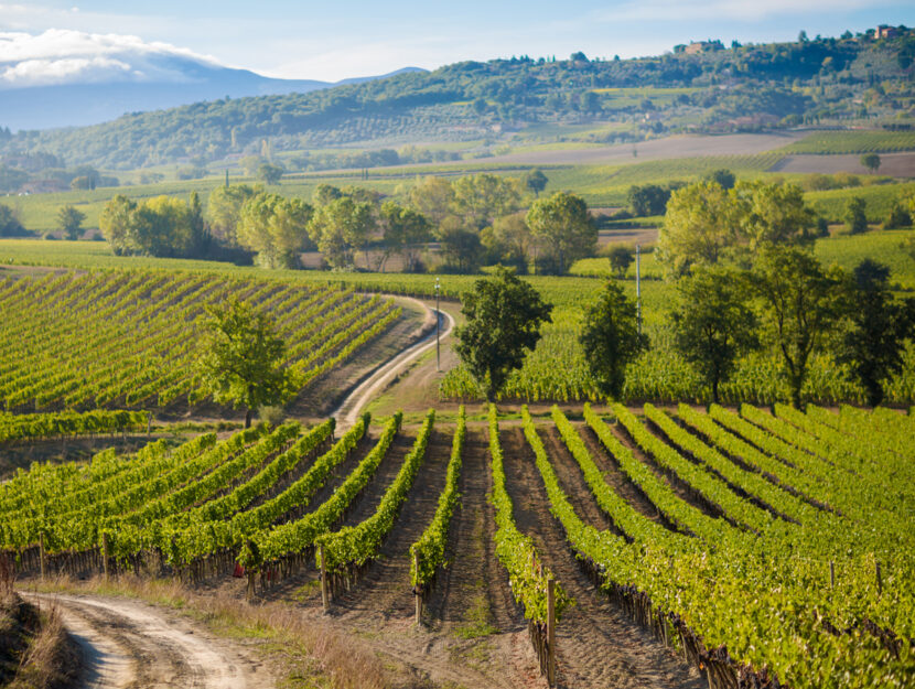 montalcino