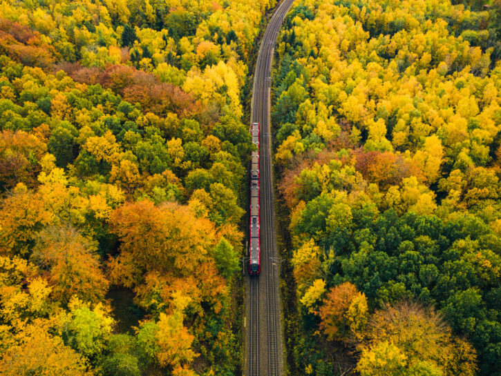 Treno del foliage, magia in Valle Vigezzo
