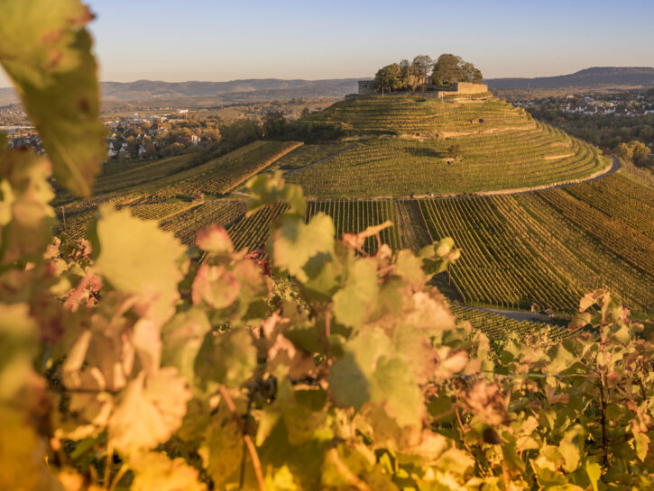 Città verdi, ecco la località più green d'Europa