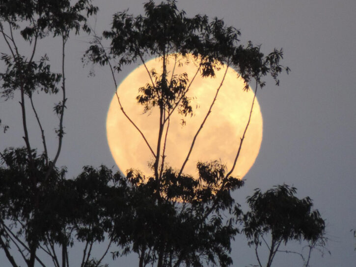 Superluna del 7 ottobre, dove e quando è possibile vederla e quando ci sarà nuovamente