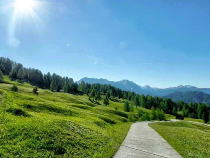 Sorpresa, l'Italia è più verde: il bilancio dei nuovi alberi