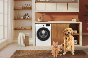 Più coccole, zero peli sui vestiti: ecco la soluzione per (con)vivere in armonia con i propri pet