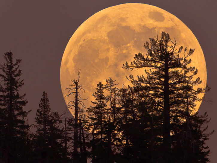 Il 5 novembre torna la Superluna: dove e come vederla
