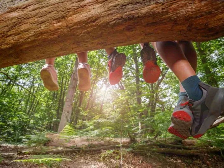 Famiglia che vive nel bosco: figli affidati a struttura protetta