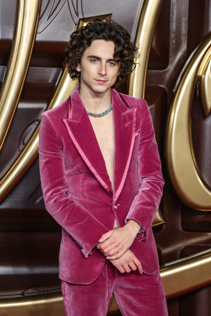 Timothee Chalamet alla premiere di Wonka